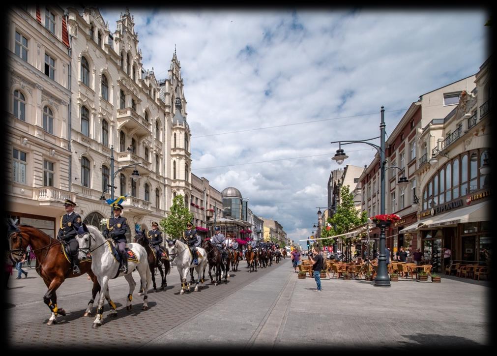 DIAŁALNOŚCI