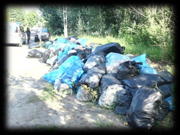 2. KONTROLA GOSPODARKI ODPADAMI Ważnym elementem działań, mających na celu poprawę stanu sanitarno porządkowego naszego Miasta są kontrole gospodarki odpadami.