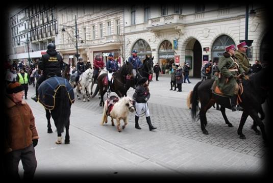 zebrali wolontariusze sztabu Straży Miejskiej w Łodzi 47.