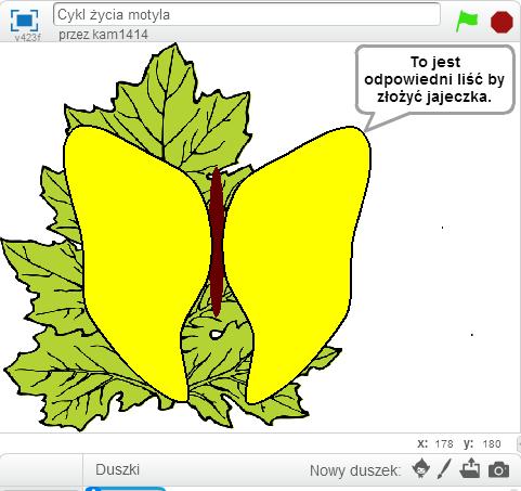 Wskazówka: Dla zmiany animacji na tylko raz prezentującą cykl życia motyla, można zabrać klocek pętli.