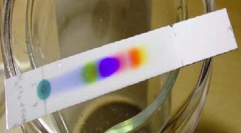 Thin Layer Chromatography (TLC) Chromatografia cienkowarstwowa (planarna), odkryta jako bibułowa 1889 (PC - Paper Chromatography) Tu: wynik rozdzielania mieszaniny kilku nisko i średnio polarnych