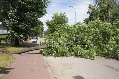 zniszczone budynki (ul.