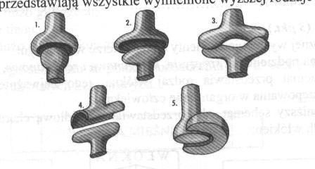 7. Przy produkcji masła, margaryny i oleju zwykle dodawane są witaminy A i E.(0-1) Uzasadnij, że jest to korzystna dla organizmu człowieka forma podawania obu tych witamin. 8.