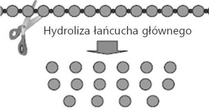 DEGRADACJA Proces chemiczny, hydroliza lub inny mechanizm cięcia łańcuchów głównych lub bocznych