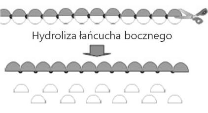 erozja powierzchniowa lub w masie 21 PĘCZNIENIE Po wchłonięciu wody tworzenie struktur żelowych o