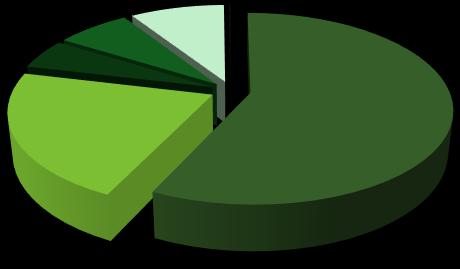 Przychody Grupy Paged w 2015 r. Wzrost przychodów (+15% r/r) Grupy wynika ze wzrostu przychodów segmentu sklejkowego (+39,6 mln PLN) oraz w spółkach segmentu pozostałego (+67,3 mln PLN).