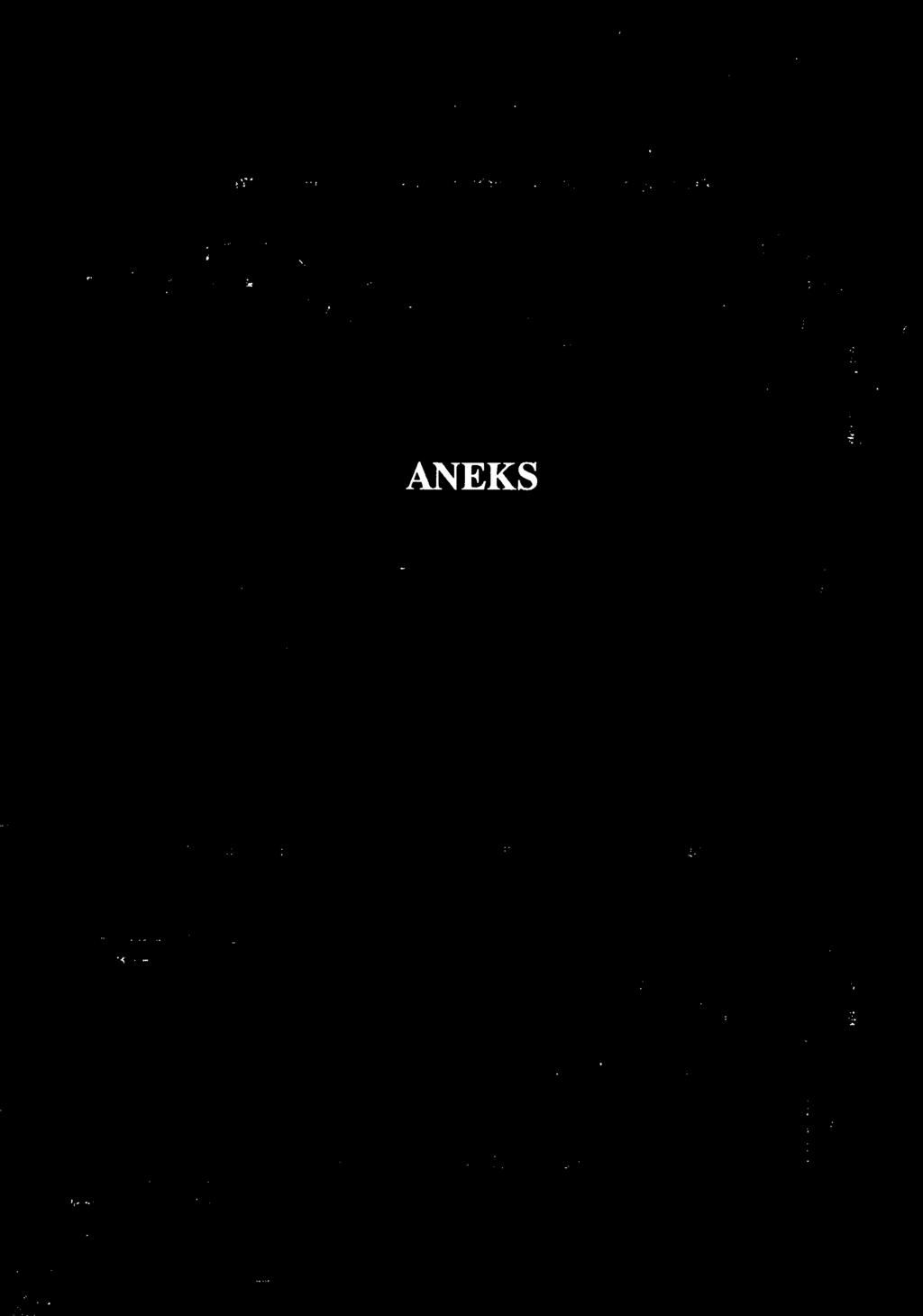 *. ANEKS