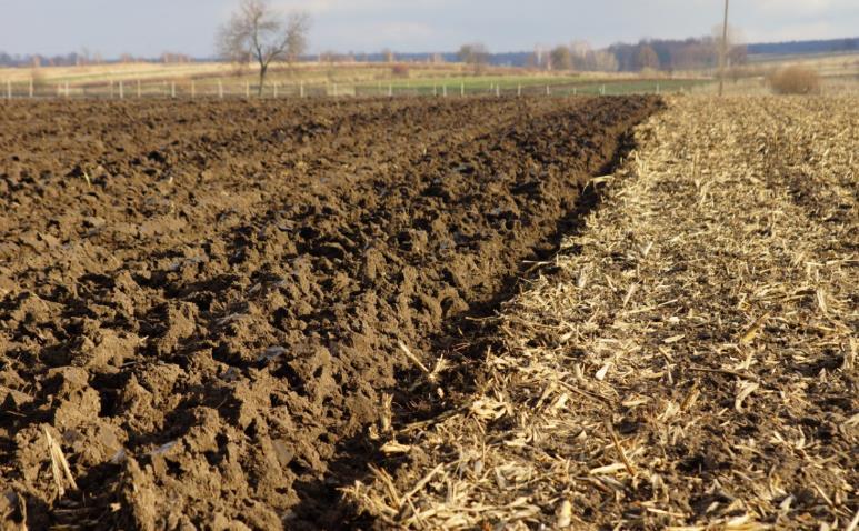 niskoemisyjnego w projekcie LCAgri