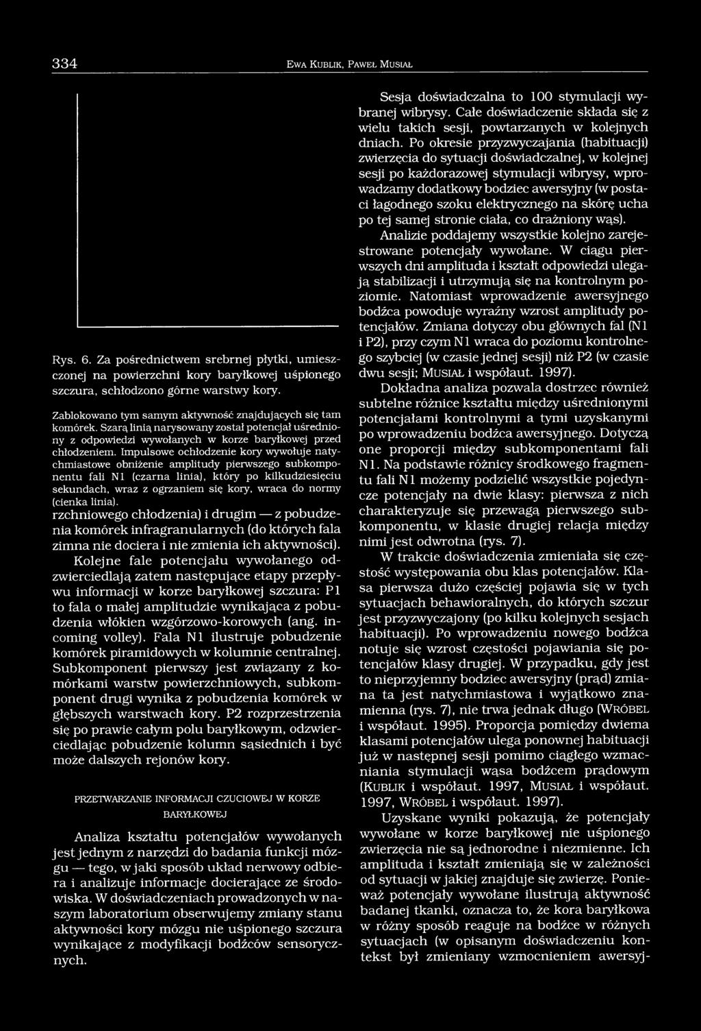 Impulsowe ochłodzenie kory wywołuje natychmiastowe obniżenie amplitudy pierwszego subkomponentu fali N I (czarna linia), który po kilkudziesięciu sekundach, wraz z ogrzaniem się kory, wraca do normy