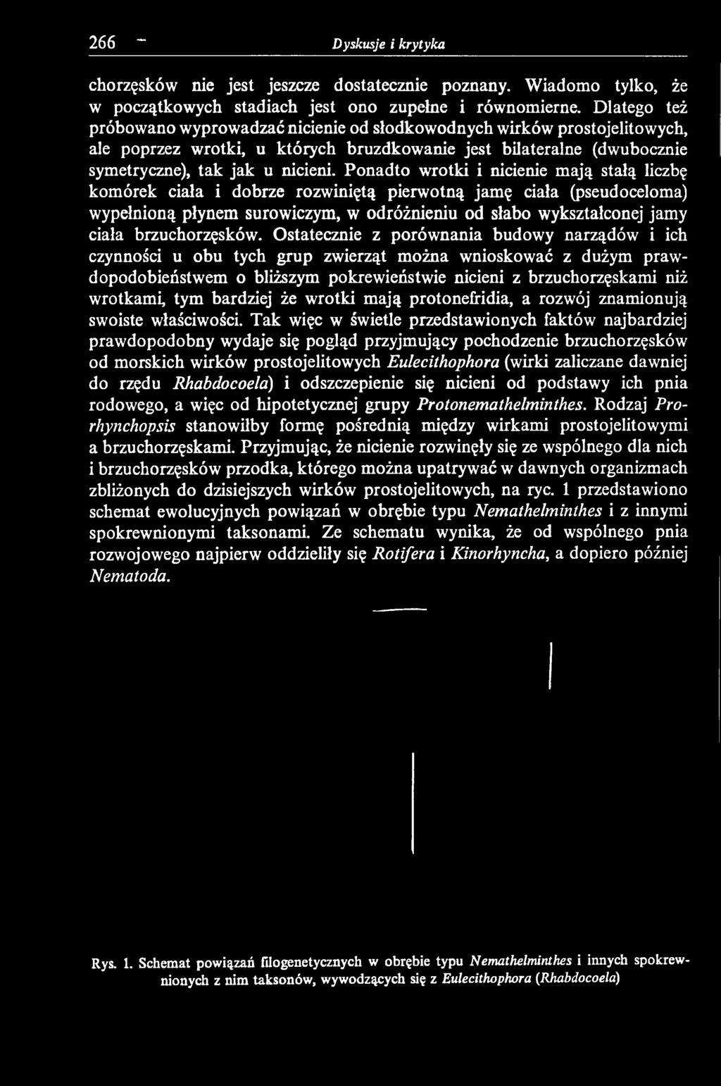 Ostatecznie z porównania budowy narządów i ich czynności u obu tych grup zwierząt można wnioskować z dużym prawdopodobieństwem o bliższym pokrewieństwie nicieni z brzuchorzęskami niż wrotkami, tym
