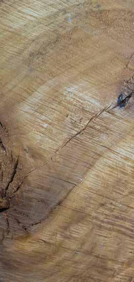Hirnholzschutz Przeciwwilgociowa ochrona powierzchni przekrojów poprzecznych drewna Obszar stosowania: Do drewna stosowanego w pomieszczeniach i na zewnątrz Do drewnianych elementów stabilnych