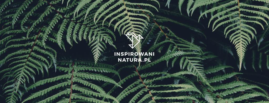 Inspirowani Naturą Inspirowani Naturą to blog dla miłośników architektury i przyrody, nad którym patronat objęła firma Terra Group.