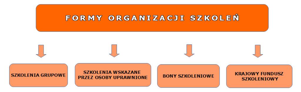 Rysunek 10. Realizowane formy szkoleń W 2017 roku na szkolenia skierowano łącznie 72 osoby bezrobotne, z czego 67 ukończyło je z wynikiem pozytywnym.