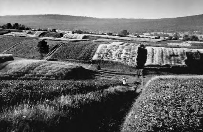 Wacław CISOWSKI (1924-1997) Ukończył Wyższą Szkołę Ekonomiczną w Krakowie. W 1955 roku był współzałożycielem Kieleckiego Oddziału Polskiego Towarzystwa Fotograficznego.