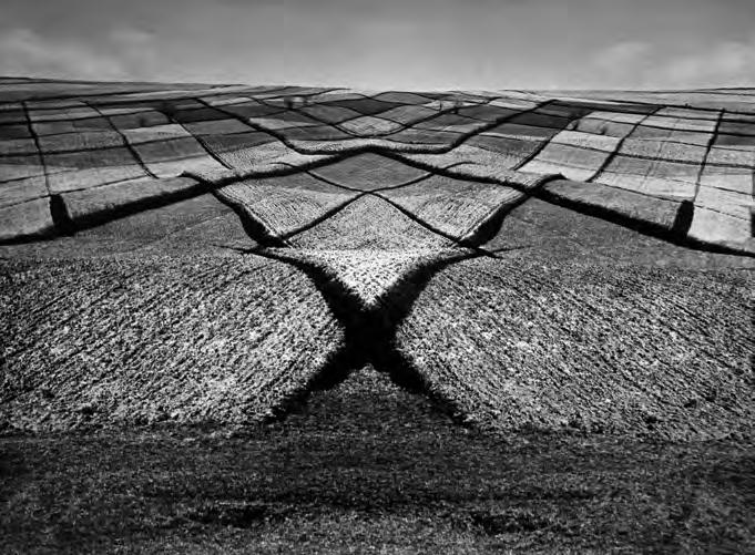 Artystów Fotografików. W roku 1978 jako nowo przyjęty członek ZPAF był współtwórcą struktur Okręgu Świętokrzyskiego ZPAF. Był aktywnym członkiem Kieleckiej Szkoły Krajobrazu.