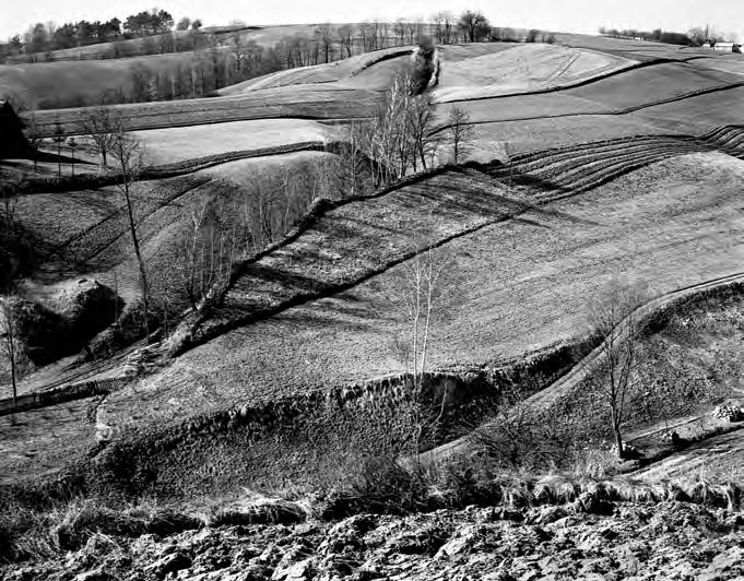 Jerzy PIĄTEK (1946) Od lat związany z Kielecką Szkołą Krajobrazu i Świętokrzyskim Towarzystwem Fotograficznym. W 1972 roku był członkiem założycielem Fotoklubu Kontrast.