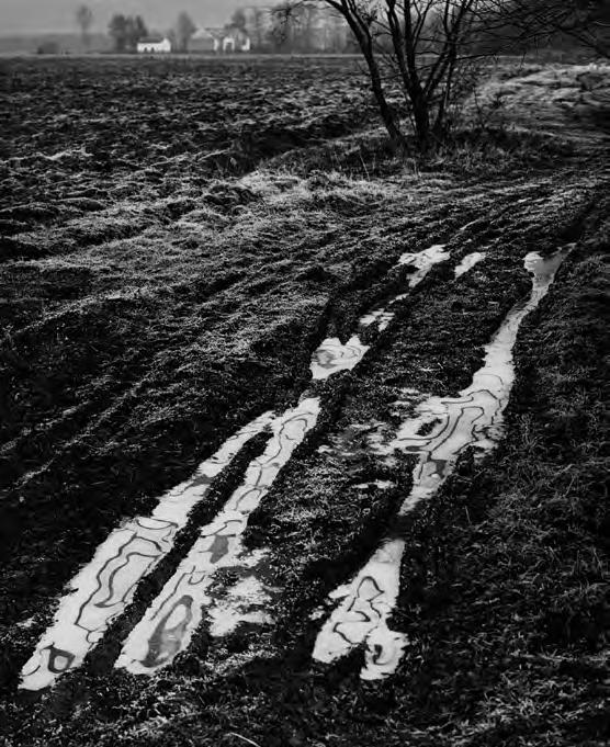 Część 3. tryptyku. Cykl nagrodzony główną nagrodą na I Dorocznej Wystawie Fotoklubu Kontrast w 1971 roku.