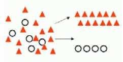 Factorization Naive Bayes Decision Tree Logistic