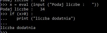 Python instrukcja warunkowa 46