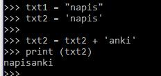 Python typy sekwencyjne 66 Typ napisowy - string Napisy są sekwencjami znaków. Każdy typ sekwencyjny pozwala na dostęp do każdego swojego elementu z osobna.