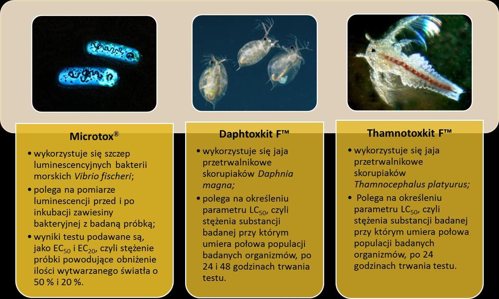 Wyznaczenie parametrów