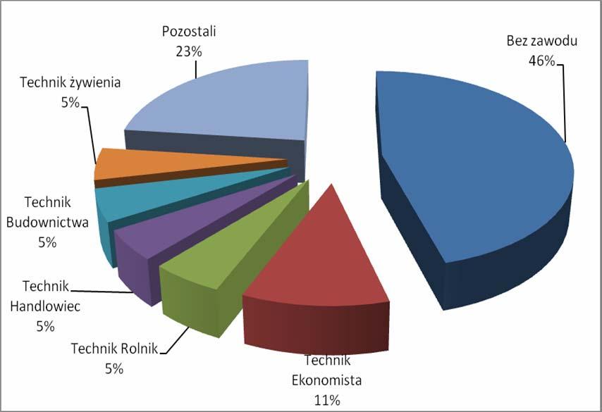 Struktura zawodowa osób z wykształceniem średnim rejestrujących się po raz piwerwszy w 2007 przdstawiała się następująco: W Powiatowym Urzędzie Pracy w 2007 roku prowadzono działania w zakresie