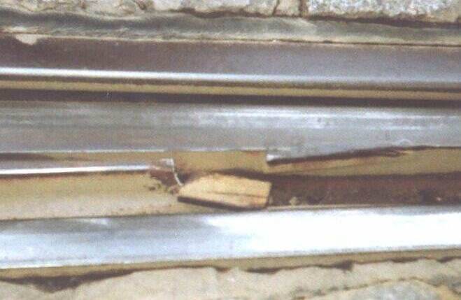 Fot.4 Wyłamany fragment dzioba opornicy 4. Oględziny i wizje lokalne 4.