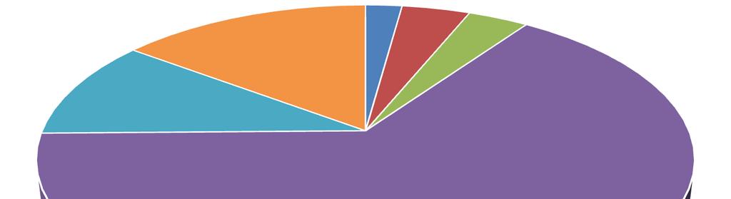 ryzyko biznesowe (strategiczne) 15% ryzyko reputacji 10% ryzyko koncentracji zaangażowania 2% ryzyko rynkowe 4% ryzyko płynności 4% ryzyko operacyjne 65% Testowanie adekwatności kapitałowej odbywa