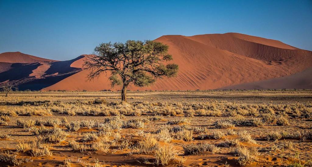 DZIEŃ 3 PUSTYNIA NAMIB SOSSUSVLEI DUNE 45 DEADVLEI SWAKOPMUND Pobudka jeszcze przed świtem. Wskakujemy do aut i ruszamy w samo serce najwyższych wydm świata, sięgających nawet 400 m wysokości.