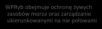 Wspólna Polityka Rybołówstwa WPRyb obejmuje ochronę żywych WPRyb powinna przyczyniać się do ochrony