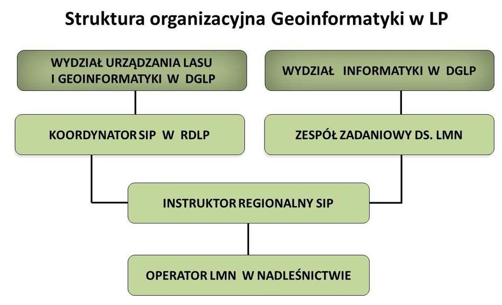 Poziom GDLP Poziom RDLP Poziom nadleśnictwa Instruktorzy regionalni SIP (od 1999 r.) Zespół zadaniowy ds.