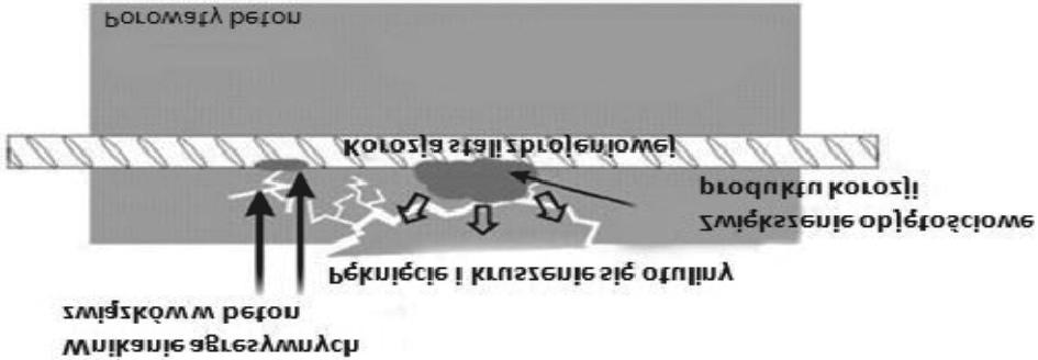 sodowych lub potasowych [3CaO Al 2 O 3 6H 2 O + 2KOH K 2 O Al 2 O 3 + Ca(OH) 2 + 4H 2 O] [4].