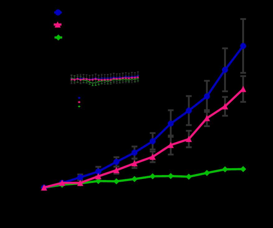 Wykres 10. Test skuteczności SEL120 po podaniu doustnym in vivo: zahamowanie wzrostu nowotworu (ostra białaczka szpikowa) u myszy Wykres 11.
