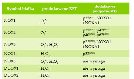 Oksydazy NADPH - NOX Przybylska &