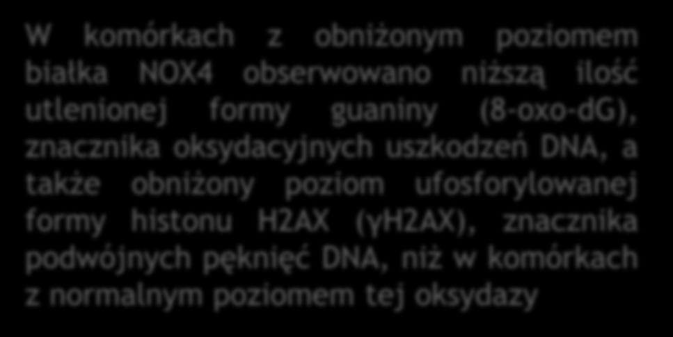 (8-oxo-dG), znacznika oksydacyjnych uszkodzeń DNA, a także obniżony poziom ufosforylowanej formy histonu H2AX (γh2ax), znacznika