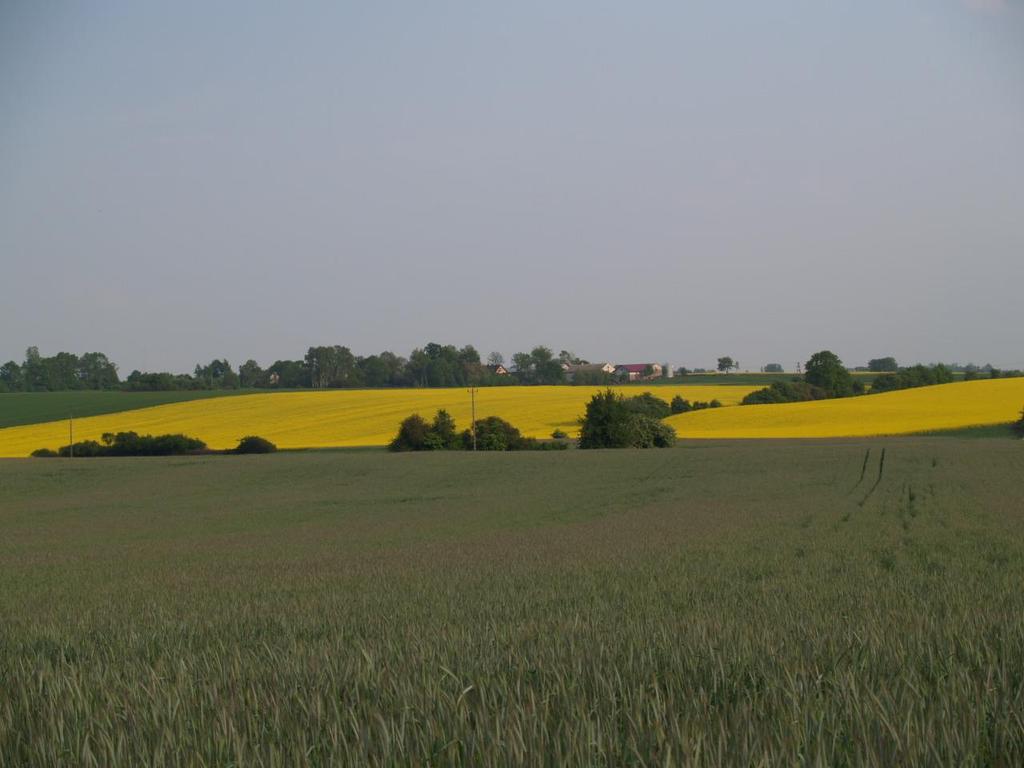 Zadania Mazowieckiego Ośrodka Doradztwa Rolniczego Szkolenia Specjalistyczne doradztwo Monitoring agrofagów i upowszechnianie zasad integrowanej ochrony roślin Monitoring cen rynkowych produktów