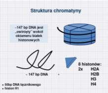 klasyczna genetyka może wytłumaczyć 1.