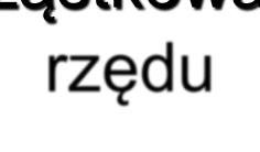 Pochodna cząstkowa pierwszego rzędu Jeżeli rozpatruje się funkcję dwóch zmiennych to