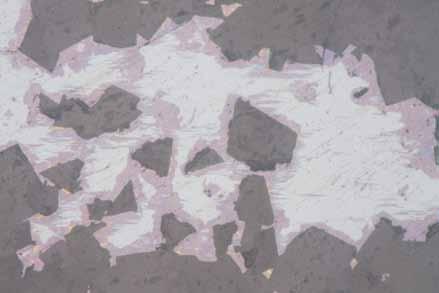 Masywna mineralizacja siarczkami miedzi w dolomitach z kopalni Lubin (monoklina przedsudecka) 43 kalcyt (np. fig. 11), obecny zarówno w porach, większych gniazdach czy żyłach.