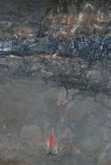 32 Piotr Król, Zbigniew Sawłowicz okruszcowaną a utlenioną występuje strefa przejściowa, w której w obrębie skał zawierających hematyt są obecne relikty siarczków (Oszczepalski, 1999) i w której, w