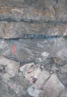Kryterium wyboru profili stanowiło występowanie masywnej mineralizacji kruszcowej oraz różnica w wykształceniu litologicznym pomiędzy profilami.