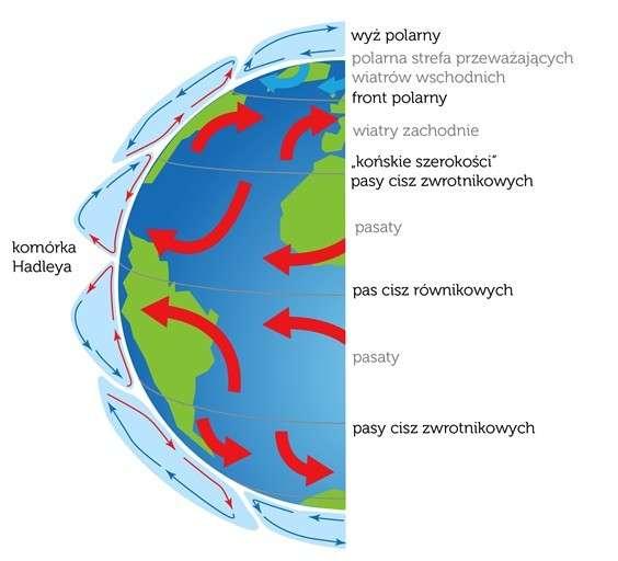 Globalna cyrkulacja atmosfery Ogólna cyrkulacja atmosfery to charakterystyczny dla kuli ziemskiej układ krążenia powietrza w troposferze rozpatrywany w skali planetarnej.
