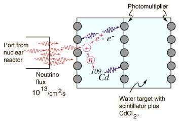 m.in. w rozpadach neutronów: Detektor: n p e ν e Zaobserwowano reakcję ν e p n e + pozytrony anihiluja emitujac