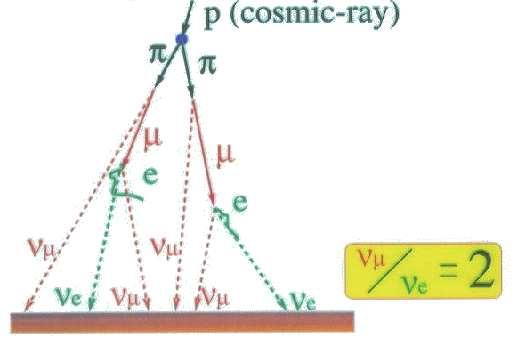 Neutrina atmosferyczne Promieniowanie kosmiczne pierwotne oddziałuje w atmosferze produkujac liczne czastki wtórne, w większości piony π ±.