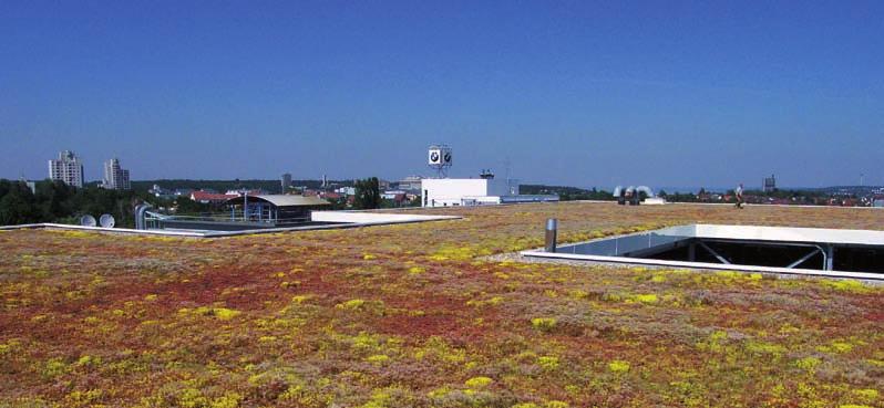 Dach ekstensywny na budynku fabryki BMW w Stuttgarcie; źródło: Optigruen International Dach zielony skuteczna metoda zabezpieczenia pokryć hydroizolacyjnych Dachy pokryte roślinnością wprowadzają