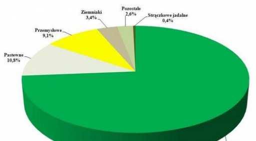 Produkcja biomasy tylko w oparciu o gleby słabej wartości rolniczej. Struktura zasiewów roślin rolniczych w Polsce. Kategoria Powierzchnia tys.