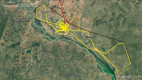 Ryc. 5. Starorzecze Nigru w Nigerii, obszar zimowania Martyny.