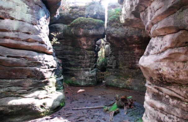 Zielony kolor korytarzy oznacza znajdujące się w podłożu (pod piaskowcem) słabo przepuszczalne skały drobnoziarniste, odpowiedzialne za permanentne zawilgocenie labiryntu.