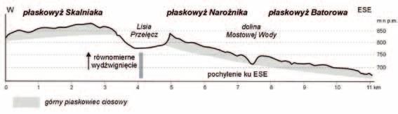 Jak budowa geologiczna odzwierciedla się w rzeźbie terenu Narożnik Wśród górnych piaskowców ciosowych W wykazie uszeregowanych według wysokości kulminacji Gór Stołowych Narożnik, wznoszący się na