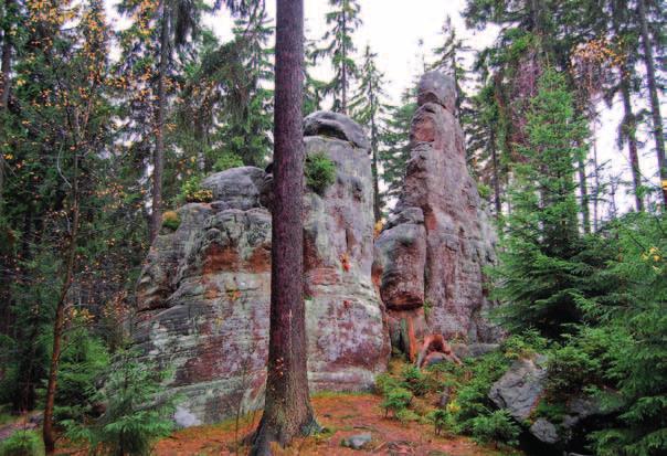 Właśnie efekty takiego procesu, zwanego wietrzeniem selektywnym, możemy obserwować na Skalnych Grzybach.